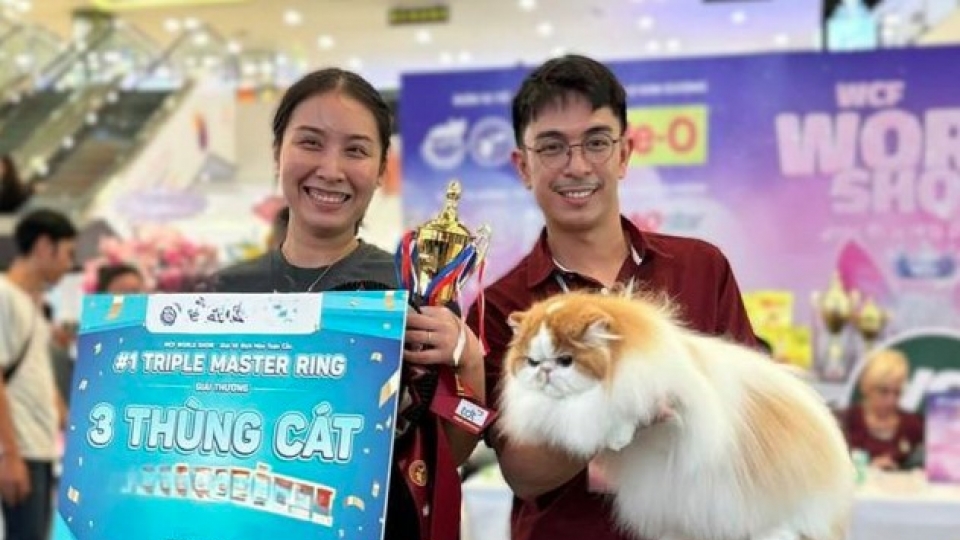 Vietnam wins international cat breed show in Ho Chi Minh City