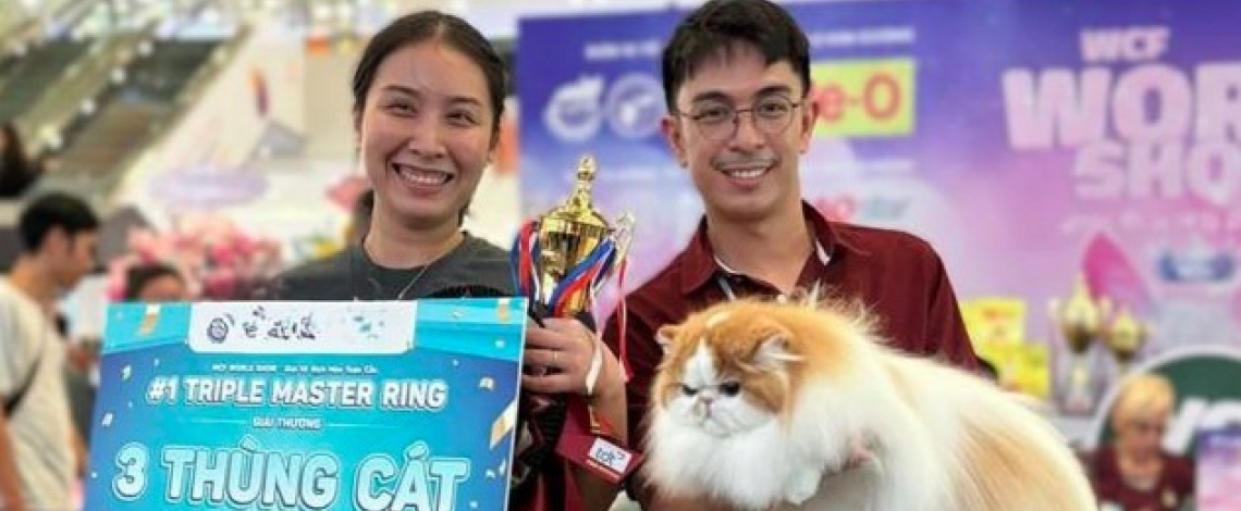 Vietnam wins international cat breed show in Ho Chi Minh City