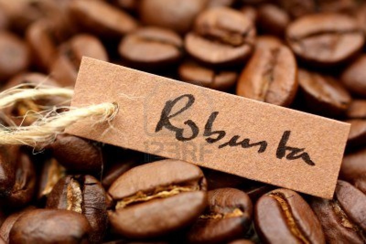 Vietnam becomes leading coffee supplier to Japan