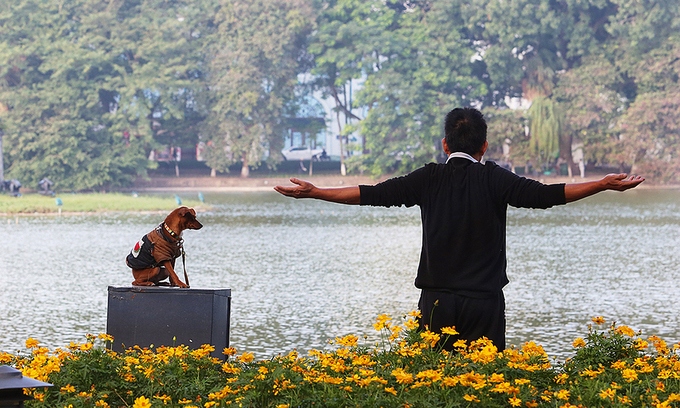 Walking dogs might be banned from Hanoi’s walking streets