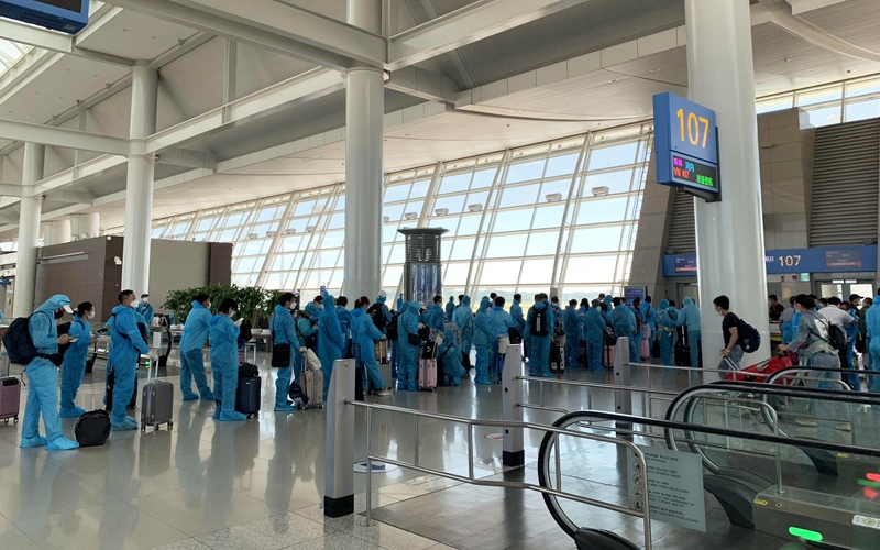 Over 250 Vietnamese citizens brought home on repatriation flight from RoK