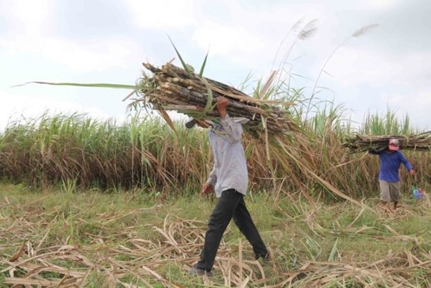 Sugar firms struggle due to ATIGA