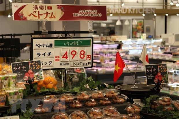 Vietnamese goods introduced at Japanese chain AEON