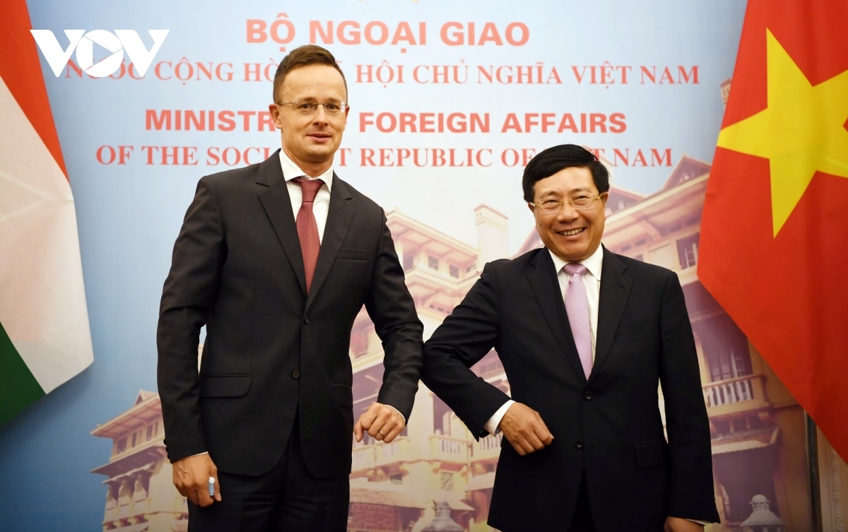 Vietnam, Hungary commit to fostering all-round co-operation