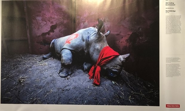 World Press Photo Exhibition 2020 opens in Hanoi