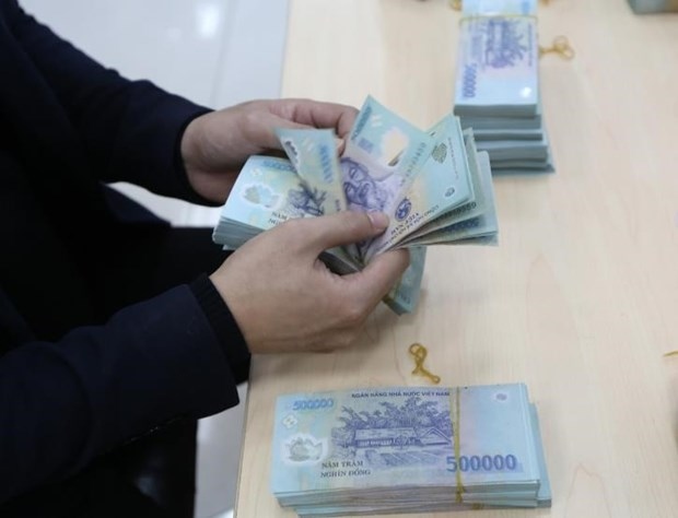 US’s branding of Vietnam as money manipulator biased: Experts