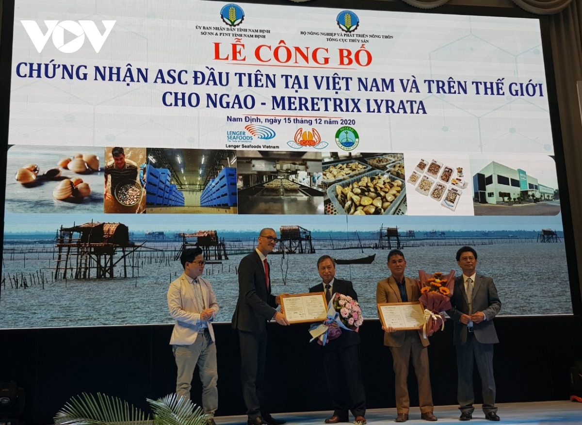 Vietnamese clams receive ASC certification