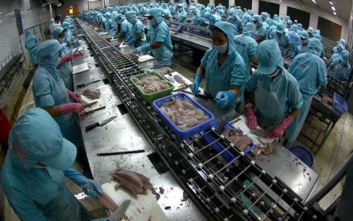 Bright prospects ahead for pangasius exports to UK