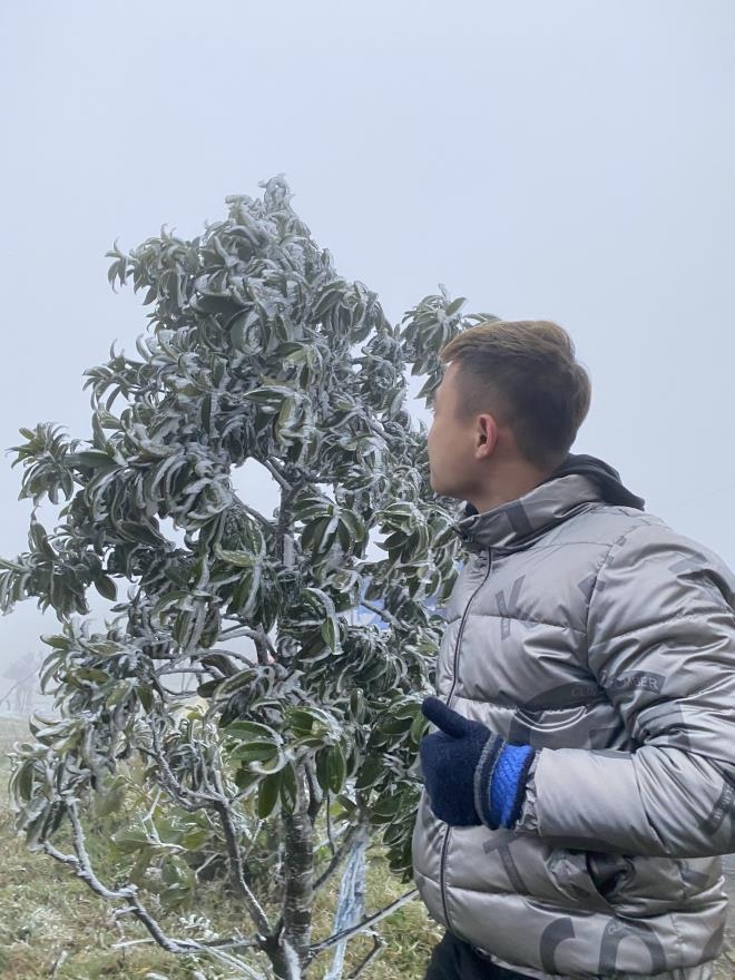Mau Son Mt peak covered in frost as temperature drops to minus 1