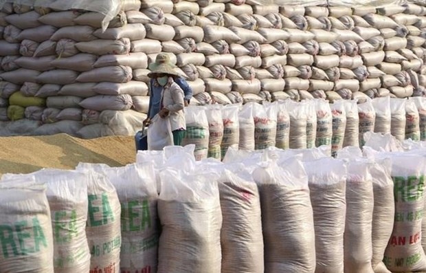 Vietnam imports Indian broken rice