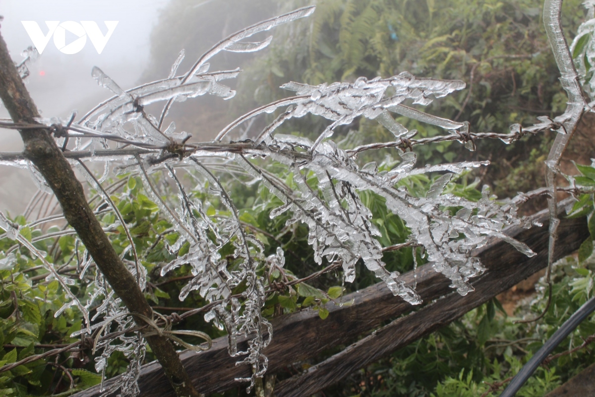 Mountainous regions likely to face spells of frost and snow on January 17