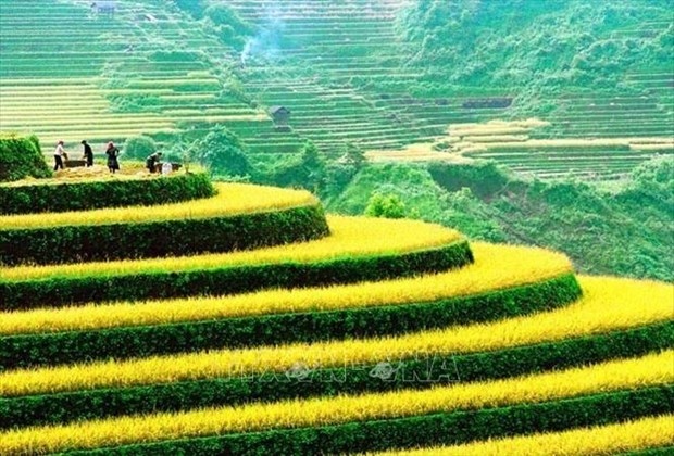 11th International Photo Contest in Vietnam launched