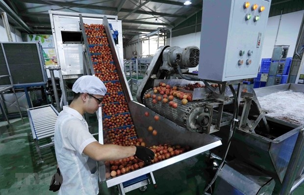 Vietnam targets US$10 billion from fruit, vegetable exports by 2030