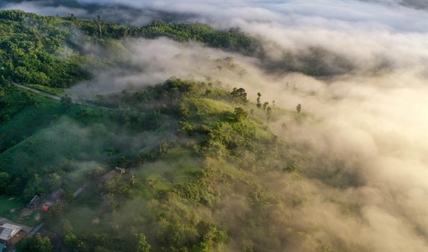 USAID launches environmental conservation projects in Vietnam