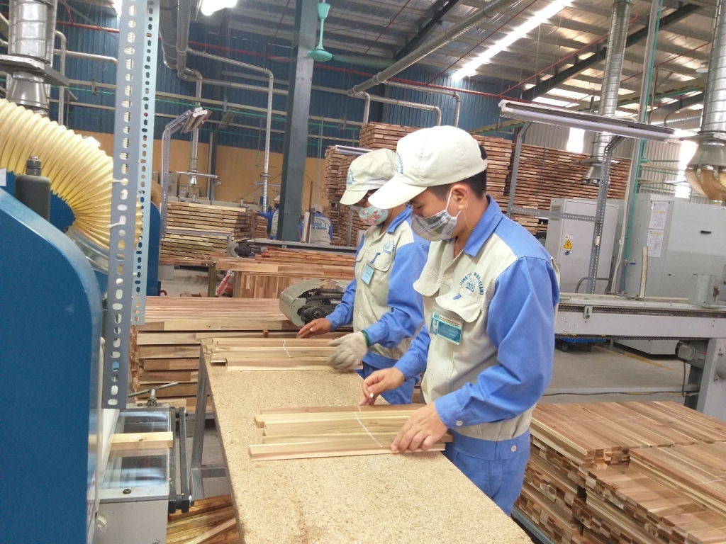 Wood industry seeks to crack down on disguised investment