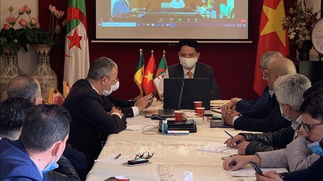 Algeria, Senegal, Vietnam explore stronger trade and investment ties
