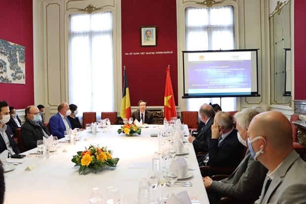 Belgium, Vietnam see growing multifaceted cooperation: Belgian politician