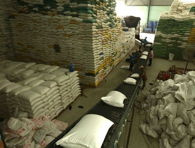 Opportunities for Vietnam to maintain stable rice export to Philippines