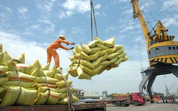 Rice exports set to see bright prospects in coming months