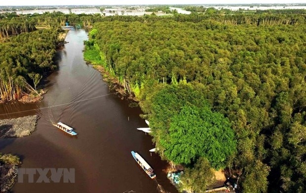 World Environment Day: Vietnam preserving Mekong Delta’s ecosystem