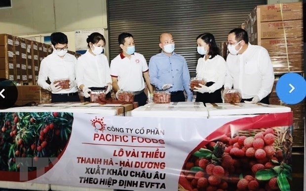 Vietnamese lychees head for EU markets