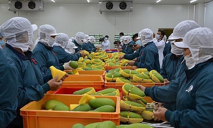 Local fruit and vegetable sector sets export target of US$3.6 billion