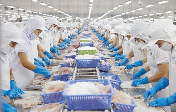 HCM City takes lead for seafood exports over five months