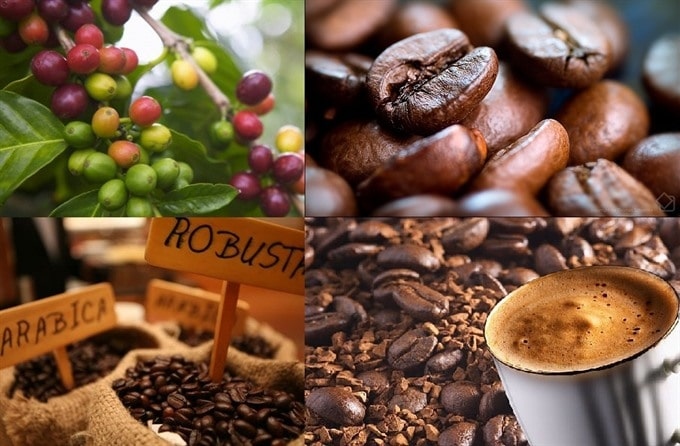 Coffee export prices enjoy surge in major markets