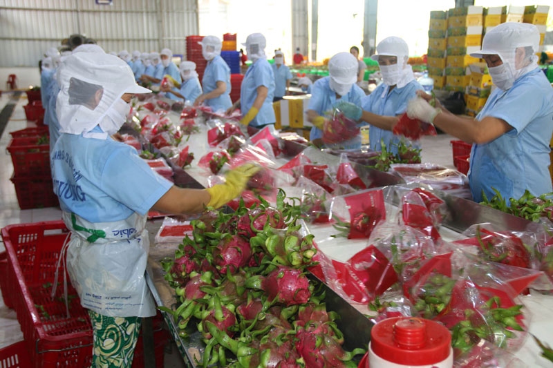US remains potential consumer of Vietnamese fruit