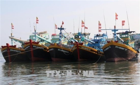 Binh Thuan province makes progress in fighting IUU fishing
