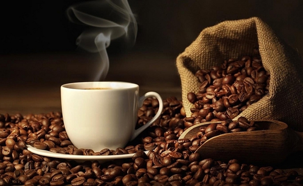 Plenty of room to boost Vietnamese coffee exports to Nordic market