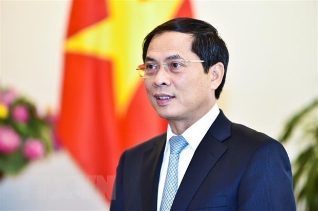 Minister: Vietnam’s re-election at ILC proves international community’s trust