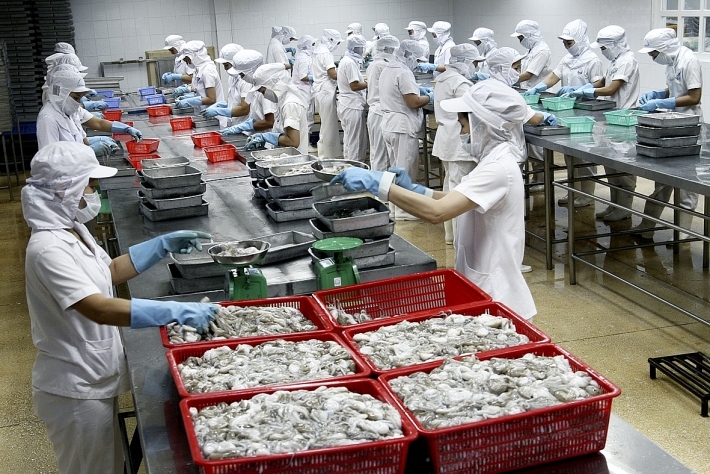 Vietnamese bivalve molluscs conquers demanding markets