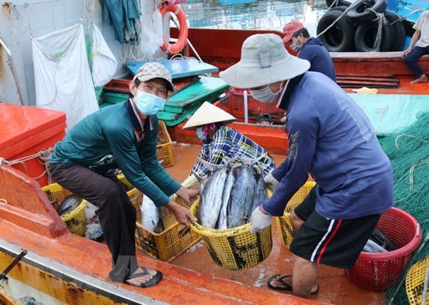 Deputy Minister requests efforts to remove IUU fishing warning