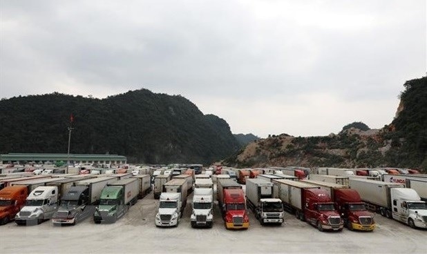 Ministries, localities tasked with handling cargo congestion