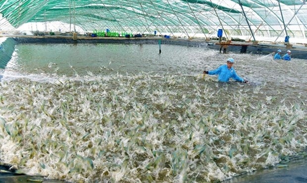 Vietnam plans modern and sustainable fisheries industry