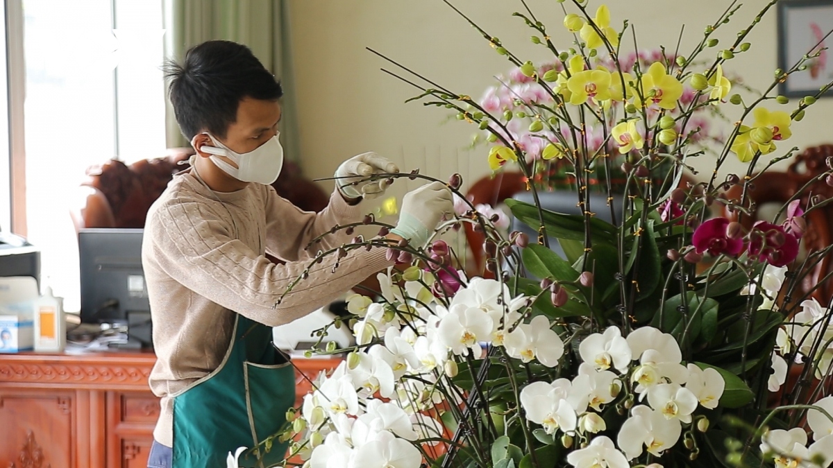 Pricy orchid flowers in blossom for Tet market