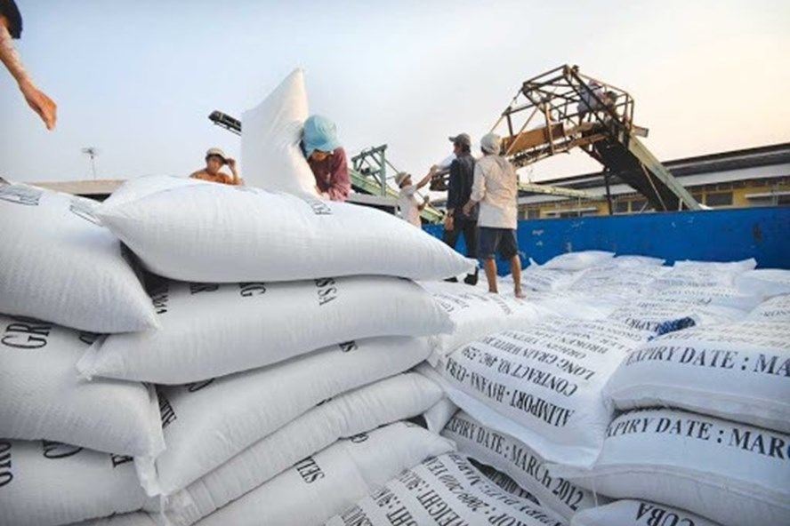 Ample room for rice exports in coming months