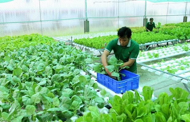 Strategy issued to boost sustainable agricultural development
