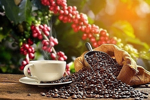 Bright prospects ahead for coffee exports due to high export prices
