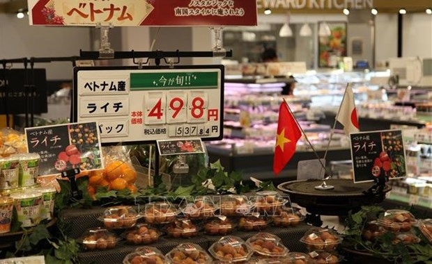 Plenty of room for Vietnam’s agricultural, aquatic, foodstuff products in Japanese market