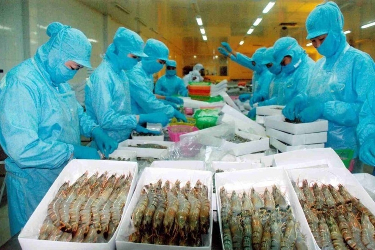 Vietnamese shrimp price in US remains high compared to competitors