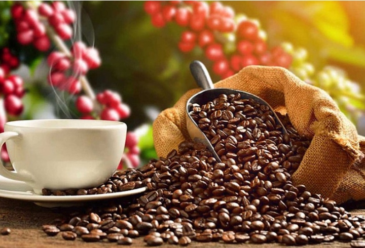 Ample room to boost Vietnamese coffee presence in Algeria