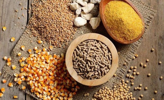 Over US$9 bln spent on import of animal feed raw materials