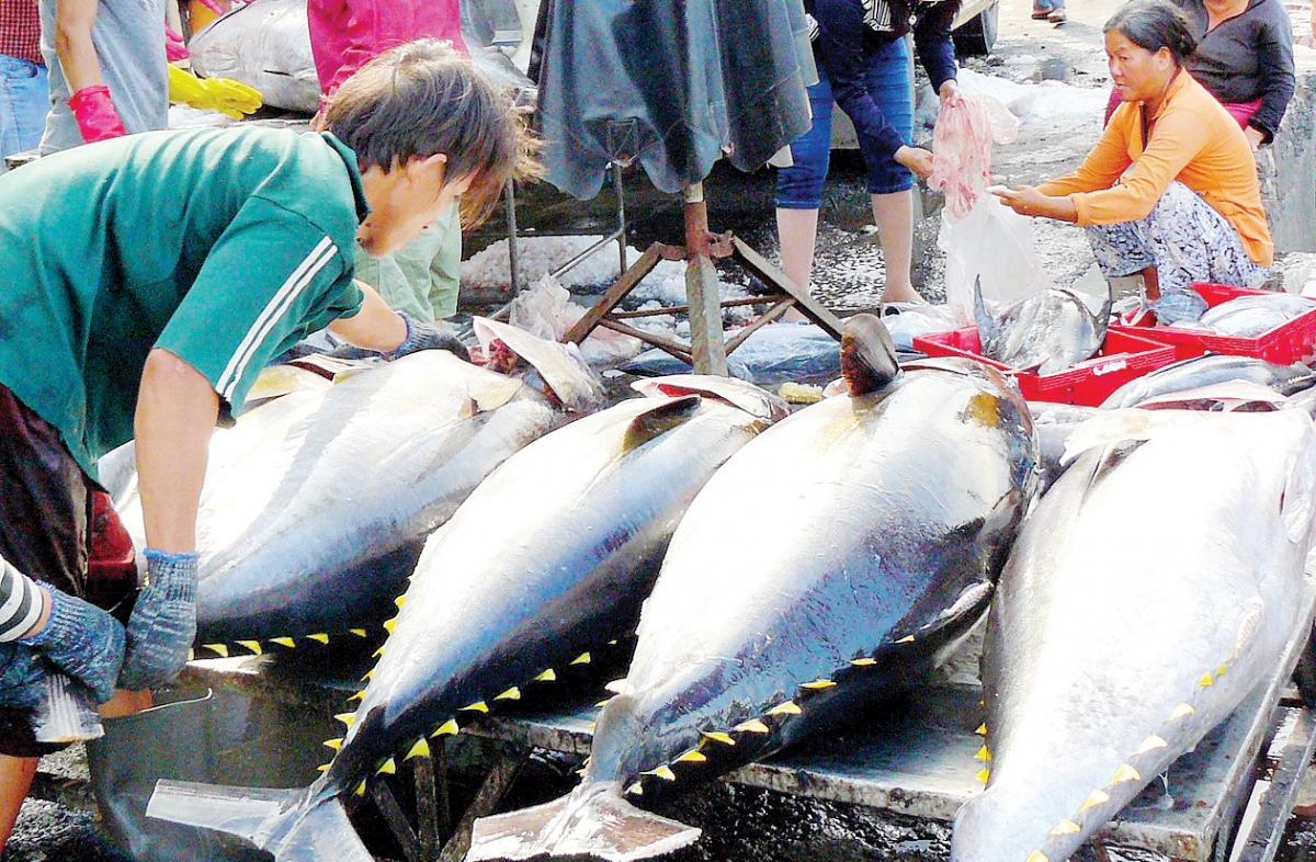 Vietnamese tuna exports impacted by Russia-Ukraine conflict