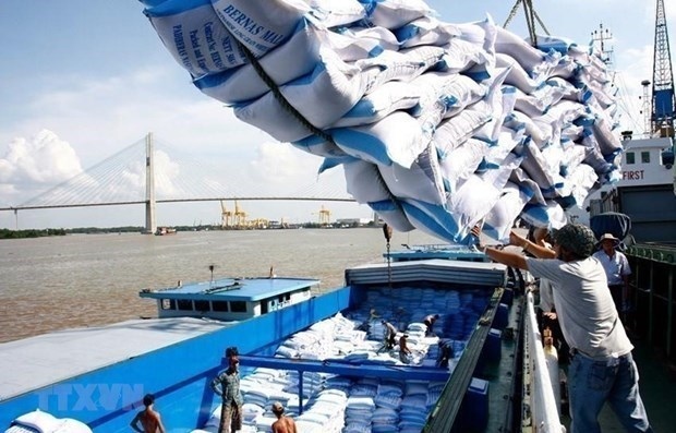 Vietnam wants to be Sierra Leone’s long-term rice supplier: minister