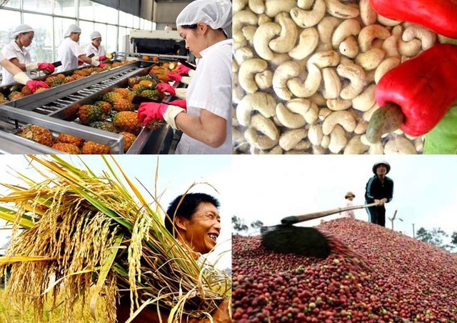 How to help agricultural businesses promote exports to Turkish market