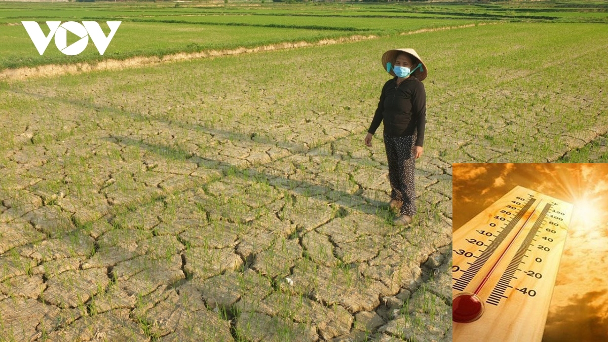 Temperature projected to rise by 6°C in Vietnam by the end of 21st century