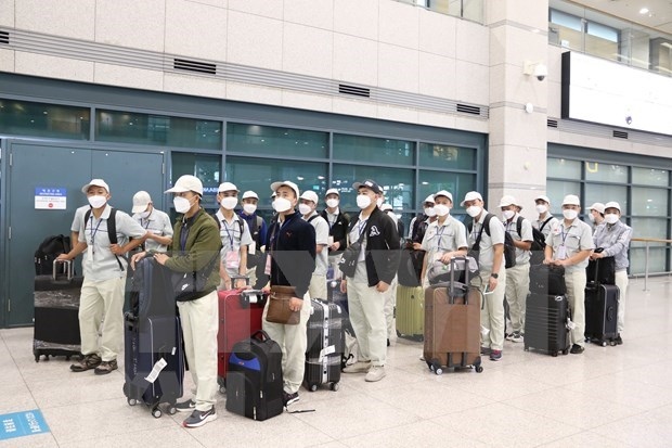 Koreans hope for re-consideration of tightened medical measures on arrivals from Vietnam