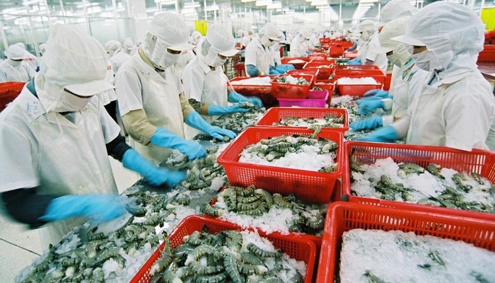 Shrimp exports grow 44% on effective use of FTAs